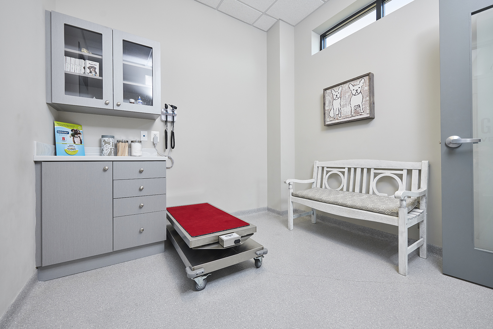 Veterinary Clinic Design Inspiration – Goose Creek | Patterson Vet Veterinary Clinic Design Inspiration – Goose Creek | Patterson Vet