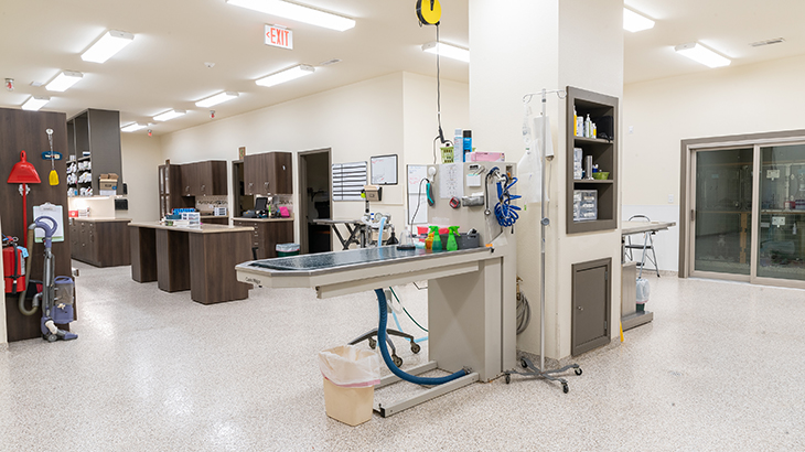 Veterinary Clinic Design – Flora Veterinary Clinic | Patterson Vet