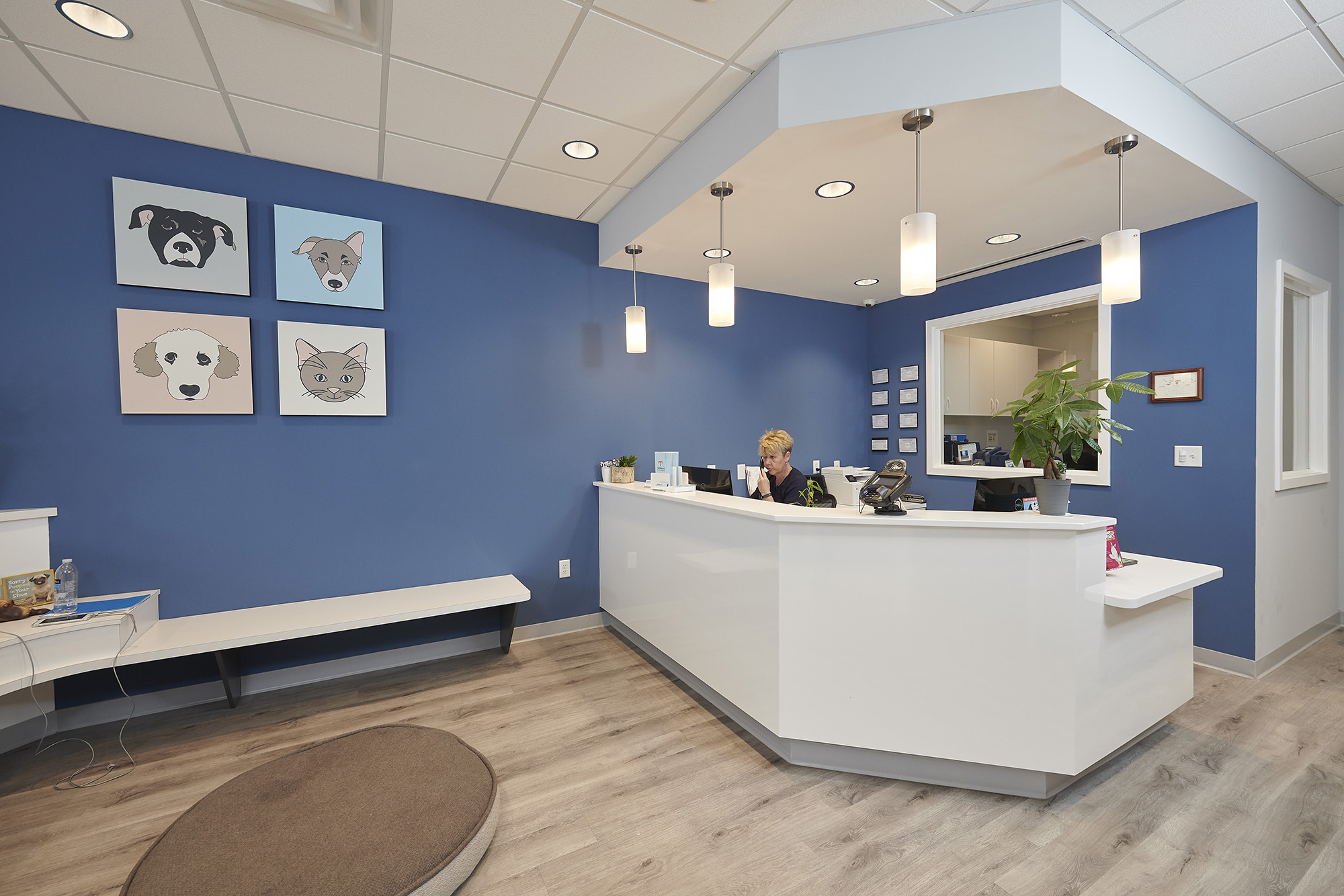 Veterinary Clinic Design Inspiration | Patterson Vet