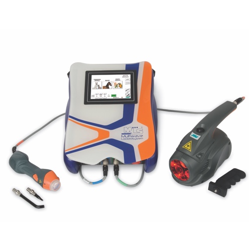 Cutting Edge MLS Therapy Laser EVO