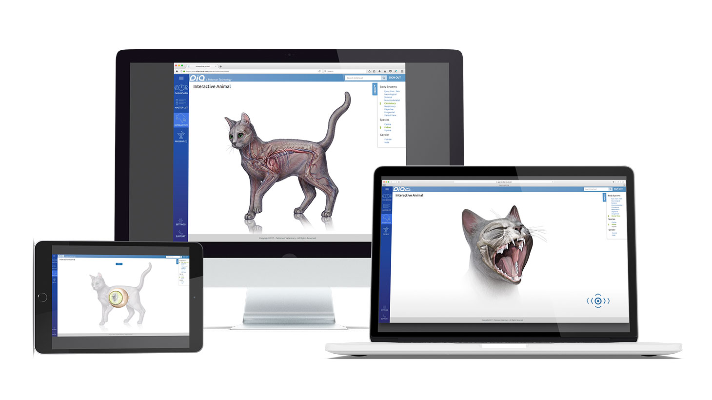 Diagnostic Imaging Atlas - DIA | Patterson Veterinary