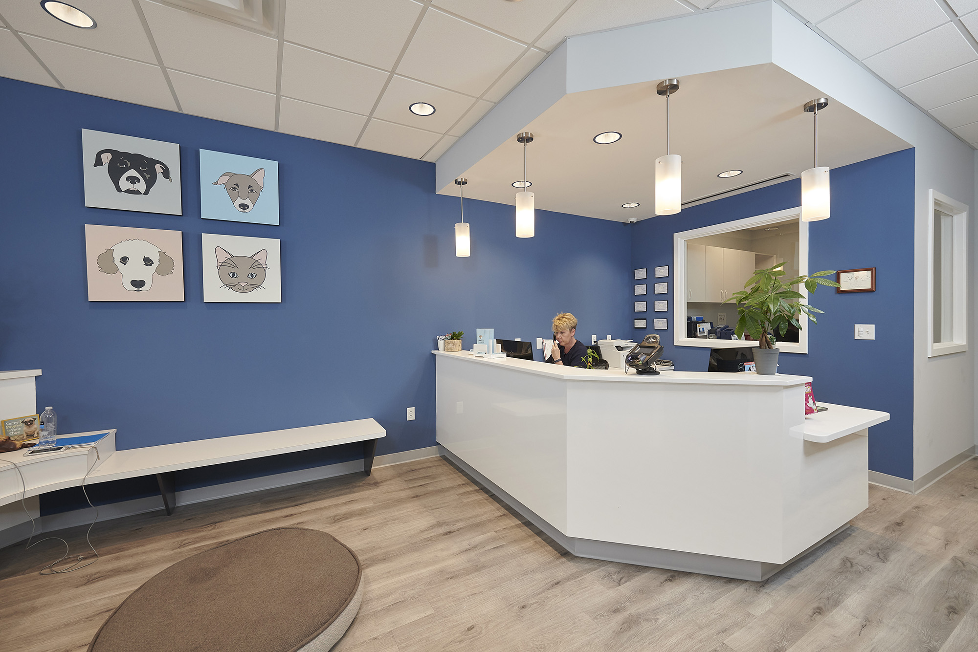 Clinic Design for Veterinary Practices | Patterson Vet